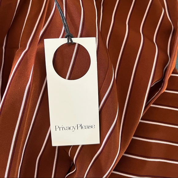 Privacy Please Curtis Mini Dress in Tan Stripe - Picture 11 of 15